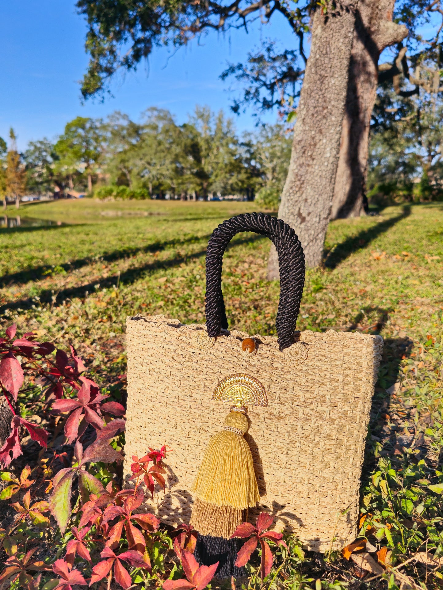 Golden Inspiration Bag